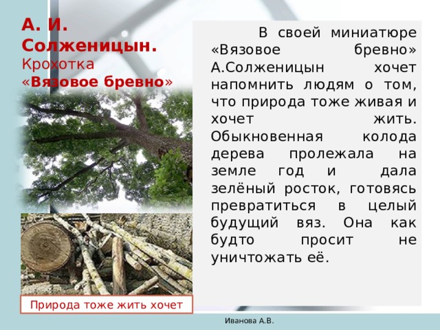 А. И. Солженицын.  Крохотка  « Вязовое бревно »   В своей миниатюре «Вязовое бревно» А.Солженицын хочет напомнить людям о том, что природа тоже живая и хочет жить. Обыкновенная колода дерева пролежала на земле год и дала зелёный росток, готовясь превратиться в целый будущий вяз. Она как будто просит не уничтожать её. Природа тоже жить хочет Иванова А.В. 