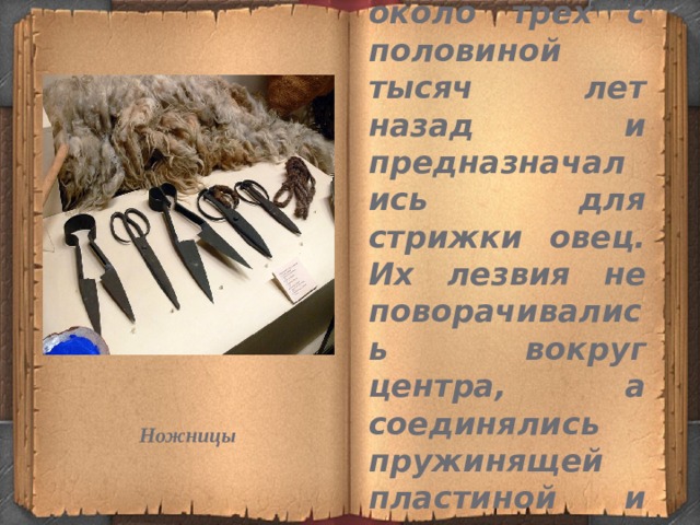 Первые ножницы появились около трех с половиной тысяч лет назад и предназначались для стрижки овец. Их лезвия не поворачивались вокруг центра, а соединялись пружинящей пластиной и просто сжимались рукой. Ножницы 