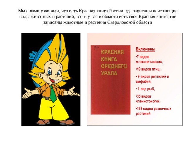 Мы с вами говорили, что есть Красная книга России, где записаны исчезающие виды животных и растений, вот и у вас в области есть своя Красная книга, где записаны животные и растения Свердловской области 