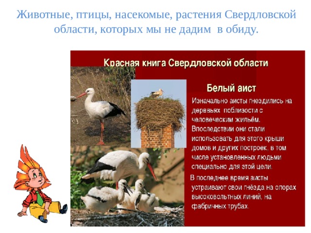 Проекты о красной книге свердловской области Красная книга Урала