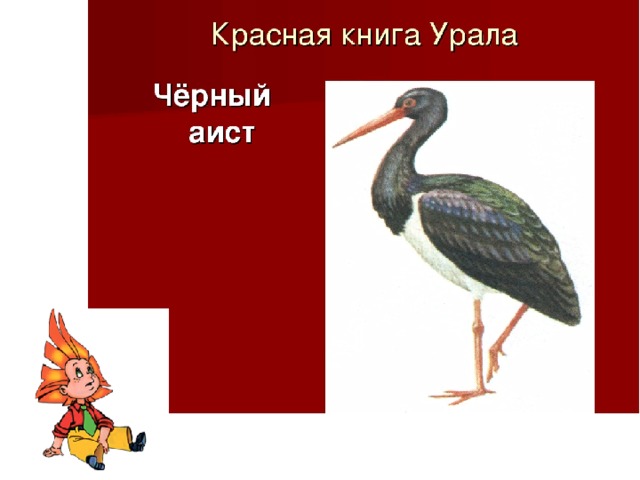 Красная книга урала