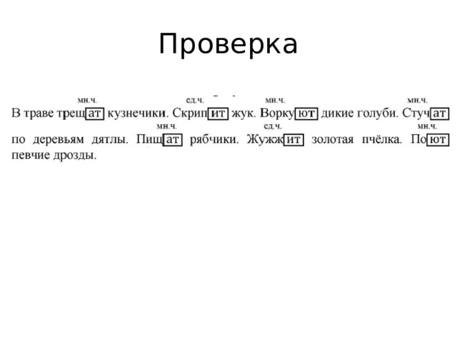Проверка 