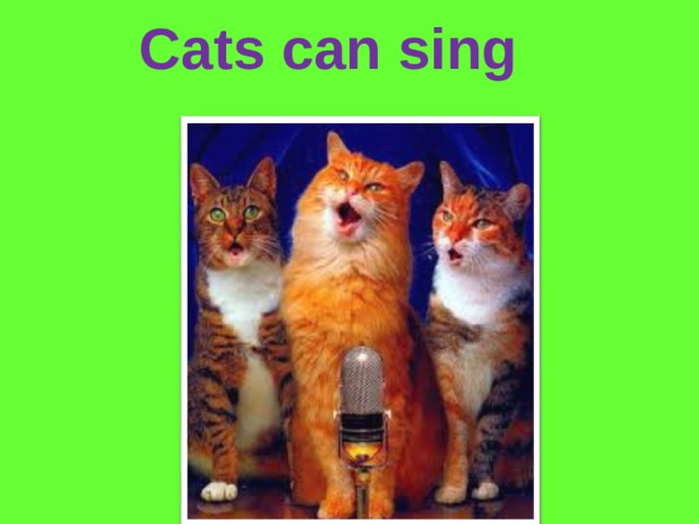 Cats can sing