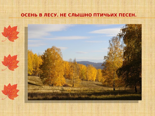 Осень в лесу. Не слышно птичьих песен. 