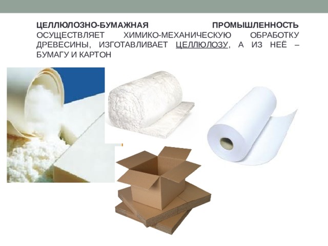 Объясните почему целлюлозно бумажное. Целлюлозно-бумажная промышленность. Целлюлоза бумага. Производство целлюлозы.