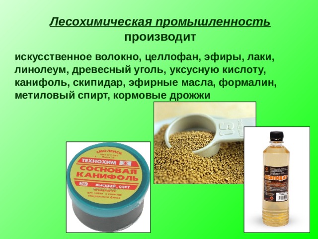 Какая отрасль промышленности производит лекарства. Лесохимическая промышленность. Отрасли лесохимического комплекса. Лесохимическая отрасль Лесной промышленности. Что производит лесохимическая отрасль.
