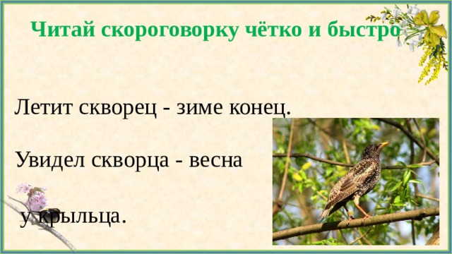 Читай скороговорку чётко и быстро Летит скворец - зиме конец. Увидел скворца - весна  у крыльца. 