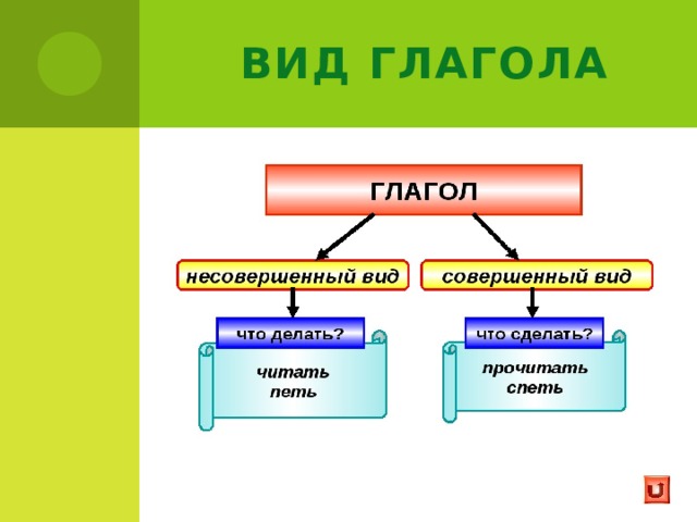 Вид глагола 