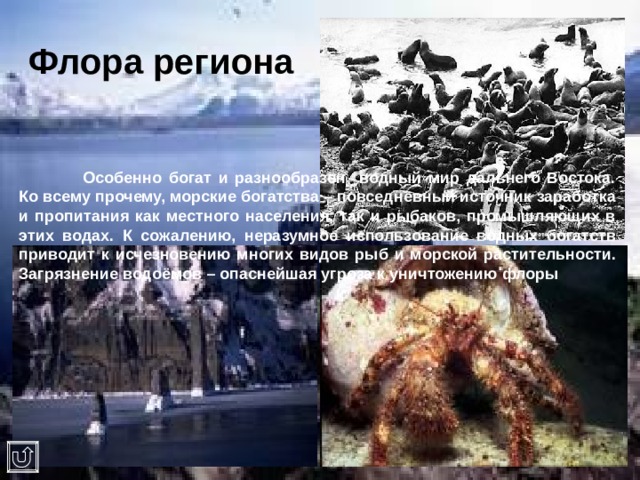 Флора региона  Особенно богат и разнообразен водный мир дальнего Востока. Ко всему прочему, морские богатства – повседневный источник заработка и пропитания как местного населения, так и рыбаков, промышляющих в этих водах. К сожалению, неразумное использование водных богатств приводит к исчезновению многих видов рыб и морской растительности. Загрязнение водоёмов – опаснейшая угроза к уничтожению флоры 