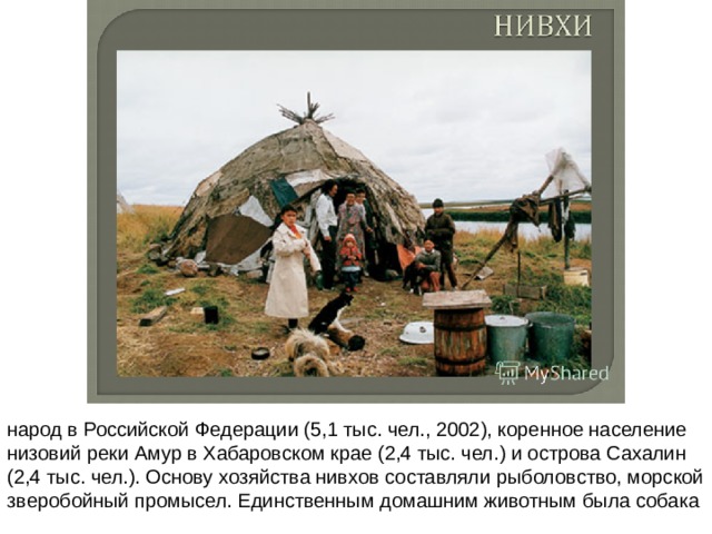 народ в Российской Федерации (5,1 тыс. чел., 2002), коренное население низовий реки Амур в Хабаровском крае (2,4 тыс. чел.) и острова Сахалин (2,4 тыс. чел.). Основу хозяйства нивхов составляли рыболовство, морской зверобойный промысел. Единственным домашним животным была собака 