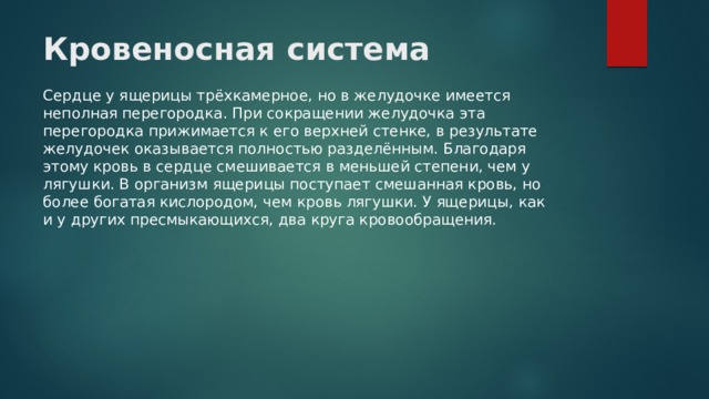 Кровеносная система Сердце у ящерицы трёхкамерное, но в желудочке имеется неполная перегородка. При сокращении желудочка эта перегородка прижимается к его верхней стенке, в результате желудочек оказывается полностью разделённым. Благодаря этому кровь в сердце смешивается в меньшей степени, чем у лягушки. В организм ящерицы поступает смешанная кровь, но более богатая кислородом, чем кровь лягушки. У ящерицы, как и у других пресмыкающихся, два круга кровообращения. 