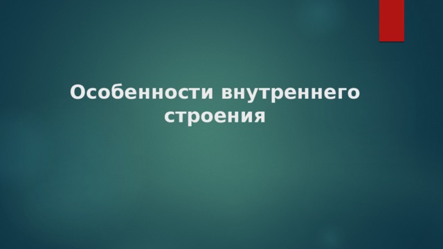 Особенности внутреннего строения 