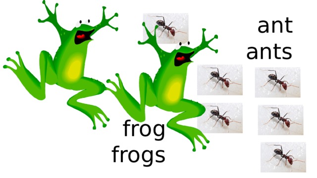 ant  ants frog  frogs 