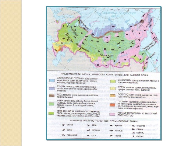 Виды карт картинки