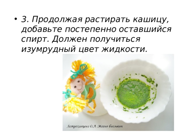 3. Продолжая растирать кашицу, добавьте постепенно оставшийся спирт. Должен получиться изумрудный цвет жидкости. 