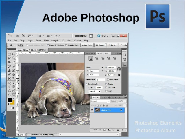 Adobe Photoshop  Photoshop Elements Photoshop Album  