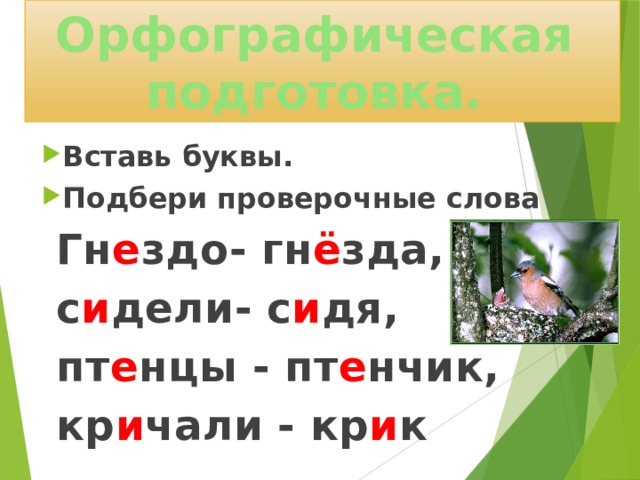 Гнездо проверочное слово