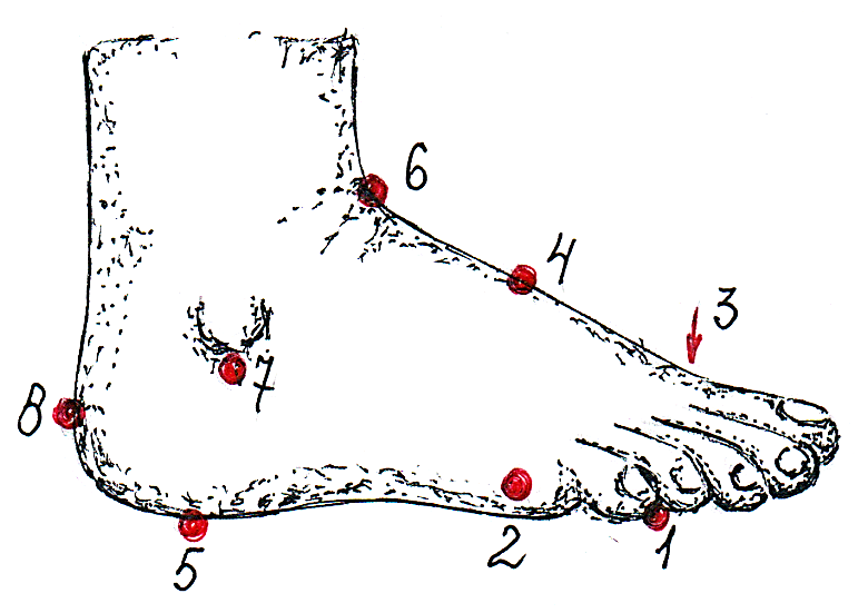 Середина стопы. Точка в середине стопы. Болевые точки голеностопа. Активные точки на лодыжке.