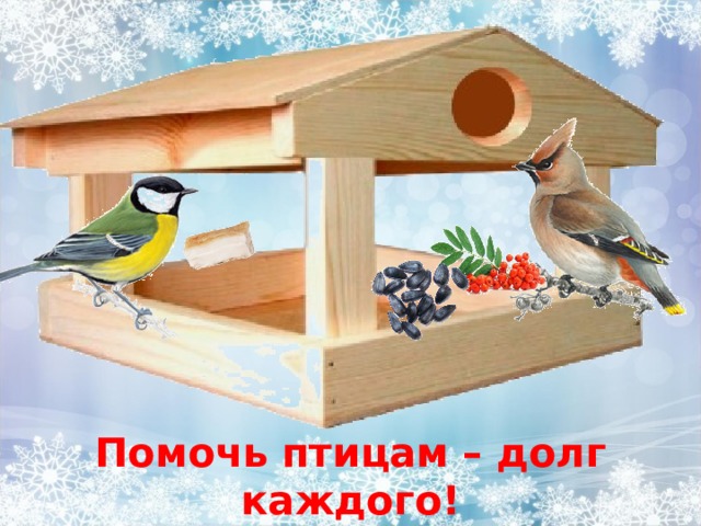 Помочь птицам – долг каждого! 