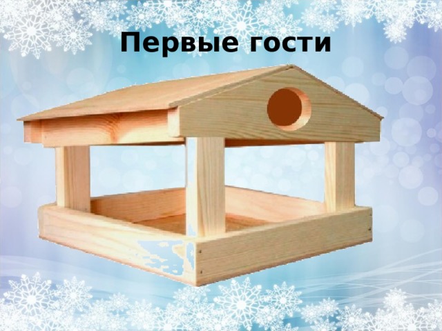  Первые гости 