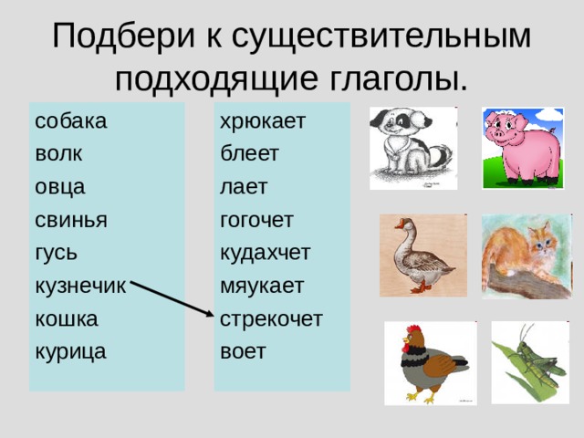 Подбери к существительным подходящие глаголы. собака волк овца свинья гусь кузнечик кошка курица хрюкает блеет лает гогочет кудахчет мяукает стрекочет воет 