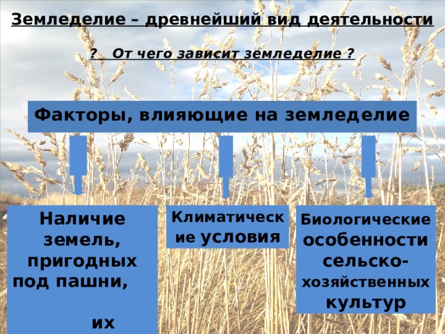 Влияние природных факторов на размещение отраслей апк. Земледелие виды виды. Факторы земледелия. Факторы развития растениеводства. Факторы размещения растениеводства и животноводства.