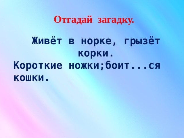  Отгадай загадку.     Живёт в норке, грызёт корки. Короткие ножки;боит...ся кошки. 