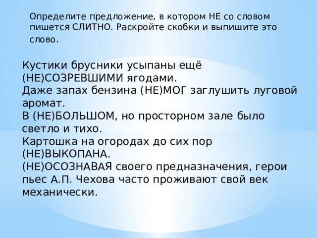 Определите предложение, в котором НЕ со словом пишется СЛИТНО. Раскройте скобки и выпишите это слово .   Кустики брусники усыпаны ещё (НЕ)СОЗРЕВШИМИ ягодами. Даже запах бензина (НЕ)МОГ заглушить луговой аромат. В (НЕ)БОЛЬШОМ, но просторном зале было светло и тихо. Картошка на огородах до сих пор (НЕ)ВЫКОПАНА. (НЕ)ОСОЗНАВАЯ своего предназначения, герои пьес А.П. Чехова часто проживают свой век механически. 