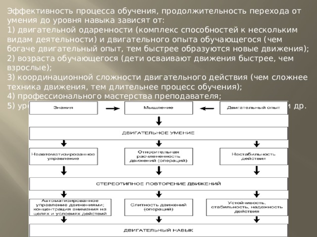 Структура процесса обучения двигательным действиям обусловлена