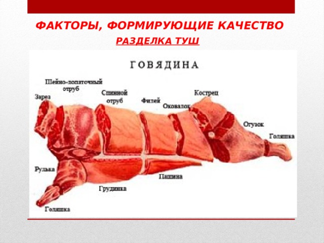 ФАКТОРЫ, ФОРМИРУЮЩИЕ КАЧЕСТВО РАЗДЕЛКА ТУШ  