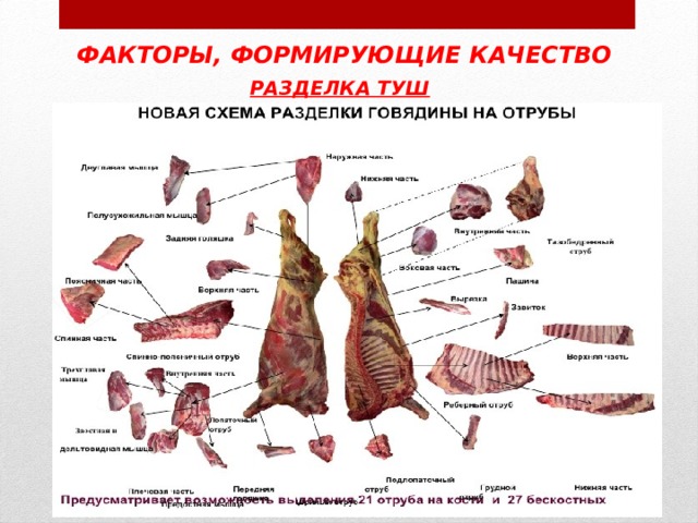 ФАКТОРЫ, ФОРМИРУЮЩИЕ КАЧЕСТВО РАЗДЕЛКА ТУШ  