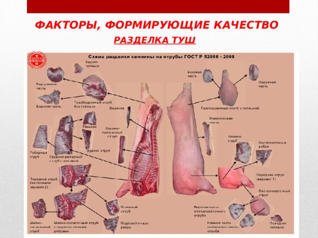 Разделочная карта свинины