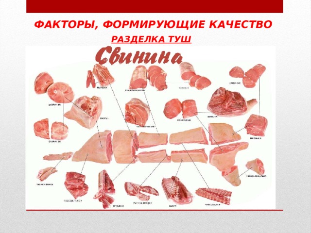 ФАКТОРЫ, ФОРМИРУЮЩИЕ КАЧЕСТВО РАЗДЕЛКА ТУШ  