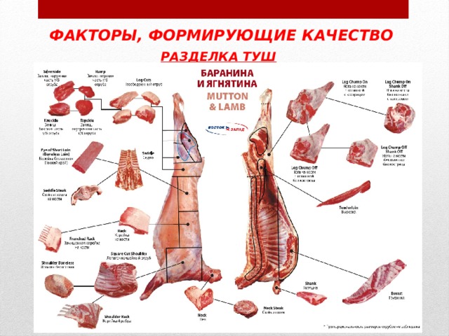 Схемы разделки туш