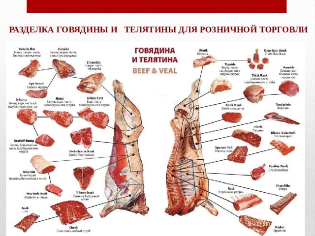 Схема первичной обработки мяса