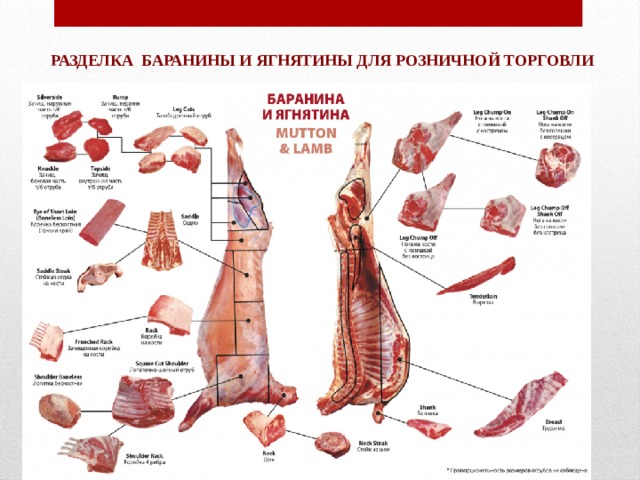  РАЗДЕЛКА БАРАНИНЫ И ЯГНЯТИНЫ ДЛЯ РОЗНИЧНОЙ ТОРГОВЛИ 
