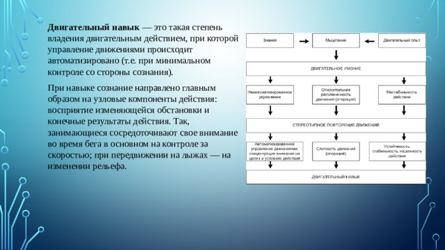 Оптимальная степень владения двигательным действием. Степень владения двигательным действием. Степень владения техникой двигательного действия. Уровни двигательных умений схема. Управление двигательными действиями.