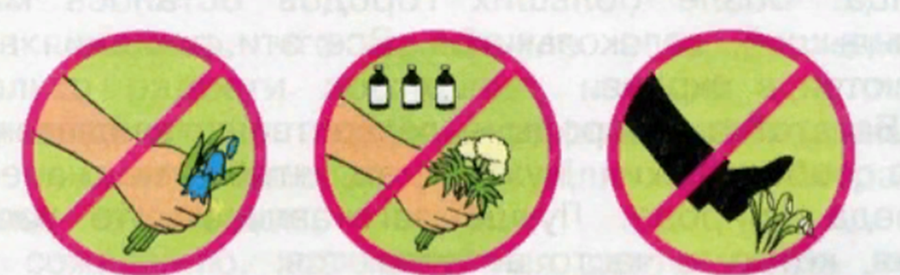 Запрещающие знаки окружающий мир 4 класс. Охрана растений. Берегите растения знаки. Знаки природы. Экологические знаки.