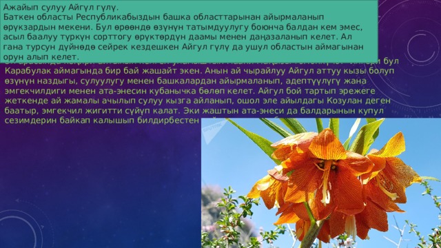 Эл арасында кеңири айтылып келген уламыштын маани-маңызы төмөнкүчө: 