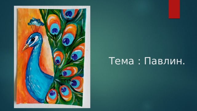 Тема : Павлин. 
