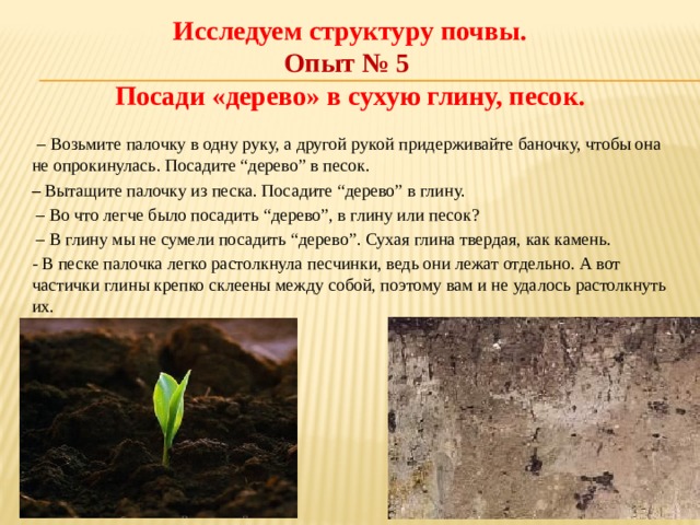 Исследуем структуру почвы.  Опыт № 5  Посади «дерево» в сухую глину, песок.   – Возьмите палочку в одну руку, а другой рукой придерживайте баночку, чтобы она не опрокинулась. Посадите “дерево” в песок. –   Вытащите палочку из песка. Посадите “дерево” в глину.  – Во что легче было посадить “дерево”, в глину или песок?  – В глину мы не сумели посадить “дерево”. Сухая глина твердая, как камень. - В песке палочка легко растолкнула песчинки, ведь они лежат отдельно. А вот частички глины крепко склеены между собой, поэтому вам и не удалось растолкнуть их. 