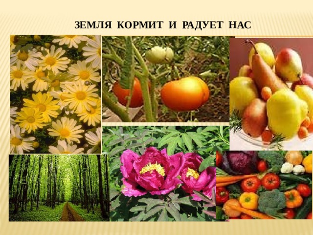 ЗЕМЛЯ КОРМИТ И РАДУЕТ НАС 