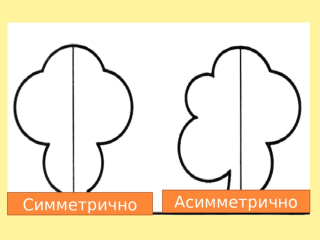 Асимметричный вырез Асимметрично Симметрично  