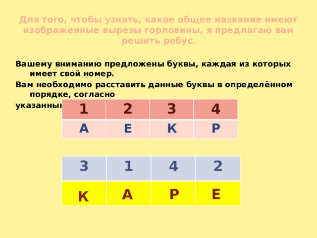 Для того, чтобы узнать, какое общее название имеют изображенные вырезы горловины, я предлагаю вам решить ребус . Вашему вниманию предложены буквы, каждая из которых имеет свой номер. Вам необходимо расставить данные буквы в определённом порядке, согласно указанным цифрам 1 2 А Е 3 К 4 Р 3 1 4 2 А Р Е К 