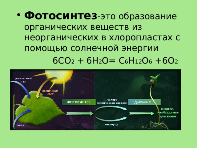 Исследование процессов фотосинтеза какой метод. Фотосинтез 10 класс биология фотосинтез. Фотосинтез кратко формула. Схема фотосинтеза 6.
