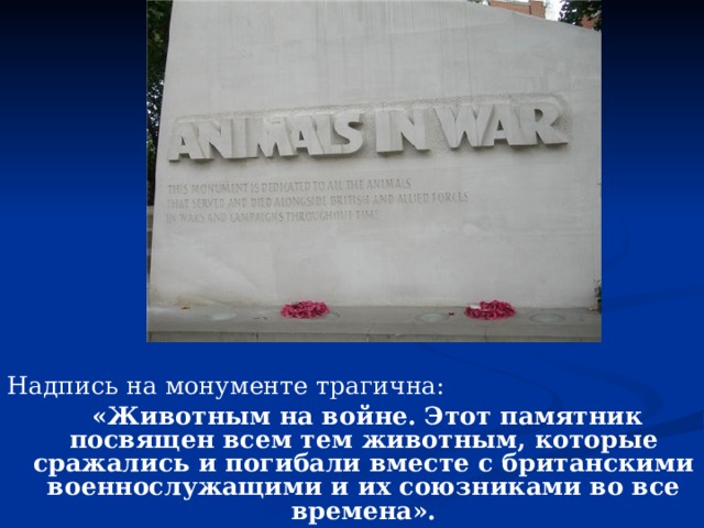 Надпись на монументе трагична:  «Животным на войне. Этот памятник посвящен всем тем животным, которые сражались и погибали вместе с британскими военнослужащими и их союзниками во все времена». 
