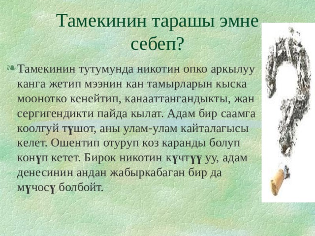 Тамекинин тарашы эмне себеп? Тамекинин тутумунда никотин опко аркылуу канга жетип мээнин кан тамырларын кыска моонотко кенейтип, канааттангандыкты, жан сергигендикти пайда кылат. Адам бир саамга коолгуй т ү шот, аны улам-улам кайталагысы келет. Ошентип отуруп коз каранды болуп кон ү п кетет. Бирок никотин к ү чт үү уу, адам денесинин андан жабыркабаган бир да м ү чос ү болбойт. 