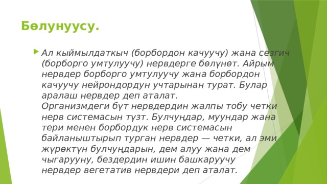 Бөлунуусу. Ал кыймылдаткыч (борбордон качуучу) жана сезгич (борборго умтулуучу) нервдерге бөлүнөт. Айрым нервдер борборго умтулуучу жана борбордон качуучу нейрондордун учтарынан турат. Булар аралаш нервдер деп аталат.  Организмдеги бүт нервдердин жалпы тобу четки нерв системасын түзт. Булчуңдар, муундар жана тери менен борбордук нерв системасын байланыштырып турган нервдер — четки, ал эми жүрөктүн булчуңдарын, дем алуу жана дем чыгарууну, бездердин ишин башкаруучу нервдер вегетатив нервдери деп аталат. 