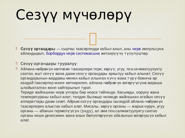 Сезүү мүчөлөрү   Сезүү органдары  — сырткы таасирлерди кабыл алып, аны  нерв  импульсуна айландырып,  борбордук нерв системасына  жеткирүүчү түзүлүштөр.   Сезүү органдары тууралуу : Айлана-чөйрөнүн көптөгөн таасирлери тери, көрүү, угуу, тең салмактуулукту сактоо, жыт сезүү жана даам сезүү органдары аркылуу кабыл алынат. Сезүү органдарынын жардамы менен кабыл алынган күчү жана түрү боюнча ар кандай таасирлер мээге жеткирилип, айлана-чөйрөнүн өзгөрүүсүнө жараша ылайыкталган жооп кайтарылып турат.  Териде жайгашкан нерв учтары бир нерсе тийгенде, басымды, ооруну жана температураны кабыл алат; тилдин былжыр челинде жайгашкан атайын сезүү аппараттары даам сезет. Айрым сезүү органдары ошондой айлана-чөйрөнүн таасирлерин алыстан кабыл алат. Мисалы, көрүү органы — жарык нурун, угуу органы — абанын термелүүсүн (үндү), ал эми тең салмактуулукту сактоо органы киши денесинин жана анын бөлүктөрүнүн абалынын өзгөрүшүн кабыл алат. 