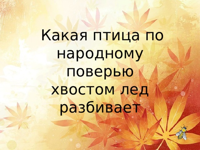   Какая птица по народному поверью хвостом лед разбивает 